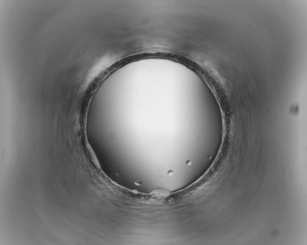 X0000089971261200707202003