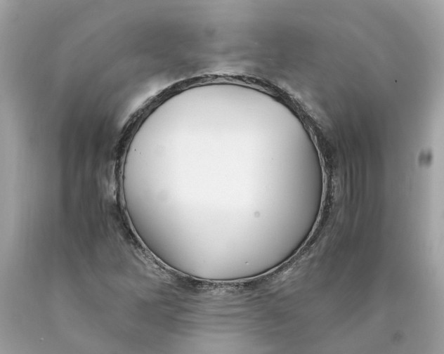 X0000089971262200707202003