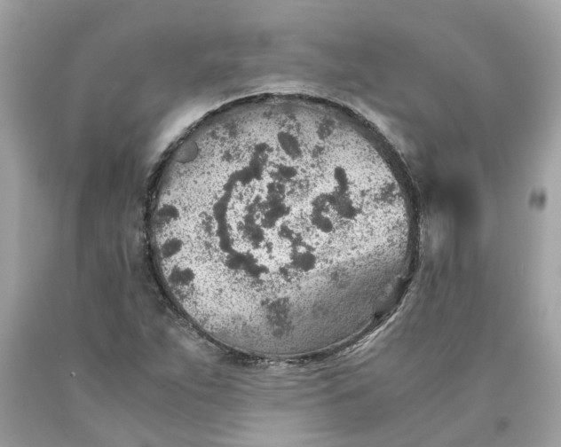 X0000089971263200707202003