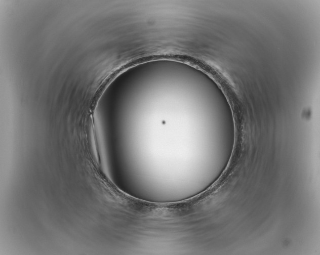 X0000089971265200707202003