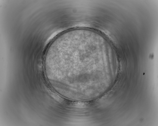 X0000089971266200707202003