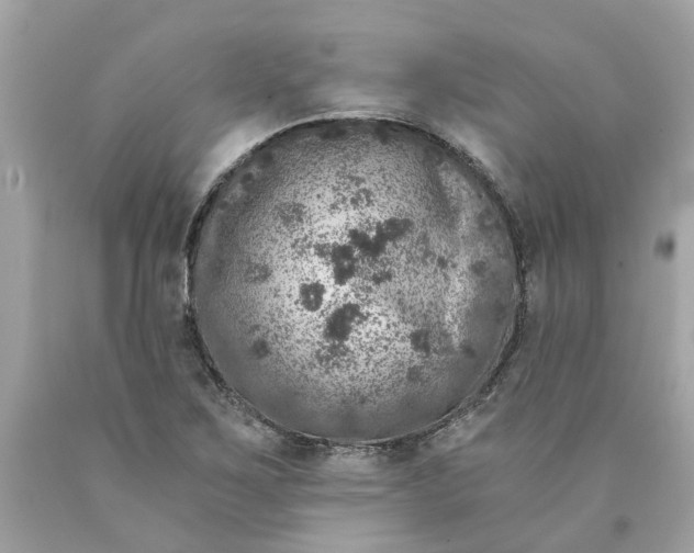 X0000089971267200707202003