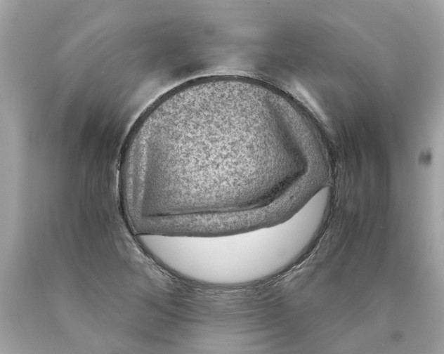 X0000089971268200707202003