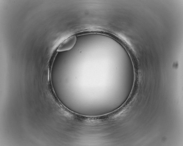 X0000089971269200707202003