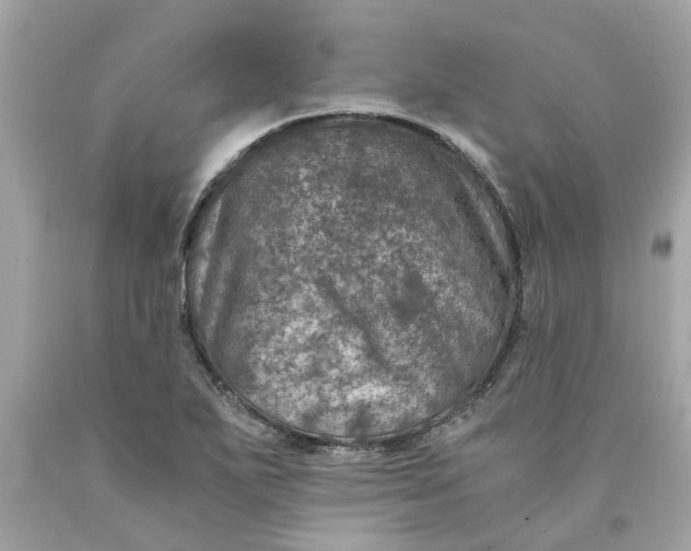 X0000089971271200707202003