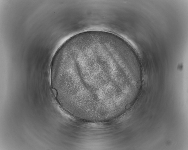 X0000089971272200707202003