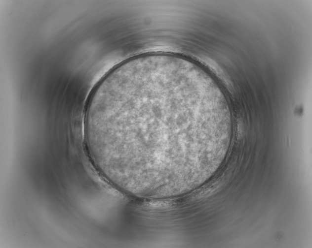 X0000089971274200707202003