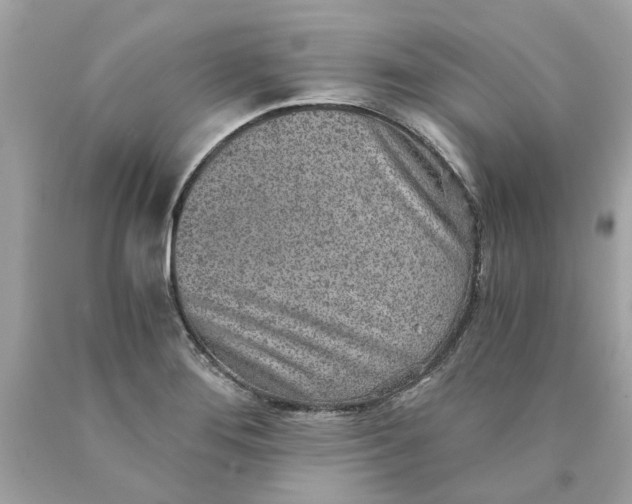 X0000089971276200707202003