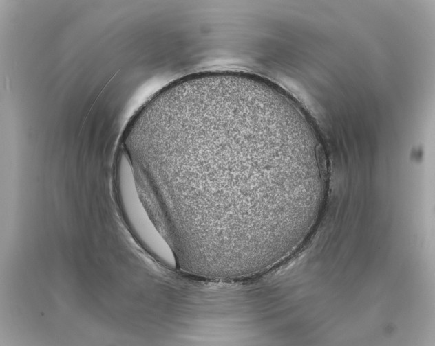 X0000089971277200707202003