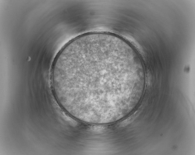 X0000089971278200707202003