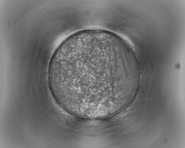 X0000089971279200707202003