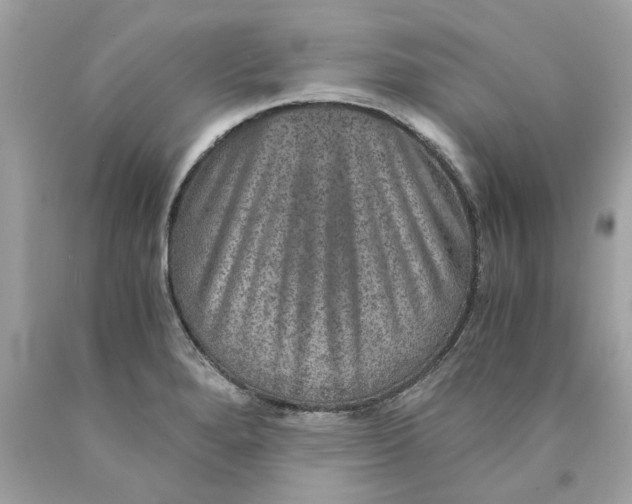 X0000089971280200707202003