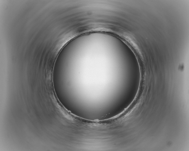 X0000089971281200707202003