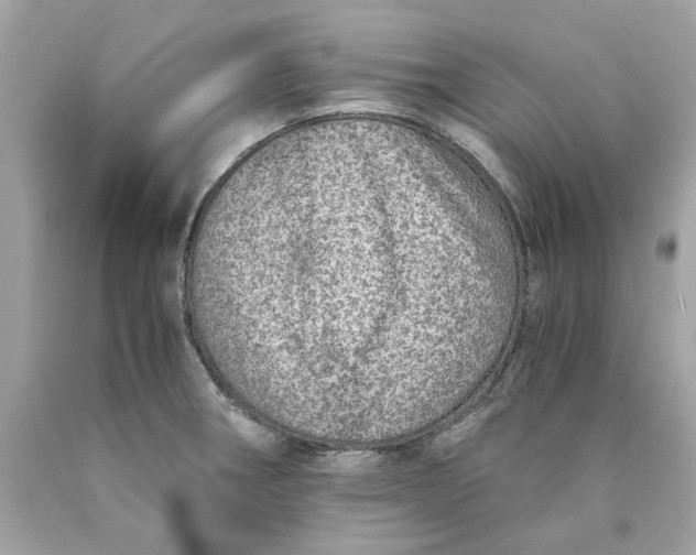 X0000089971282200707202003