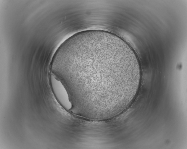 X0000089971284200707202003