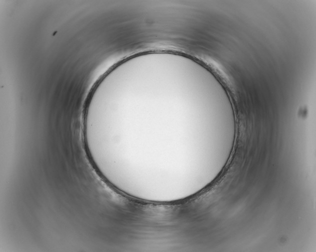 X0000089971286200707202003