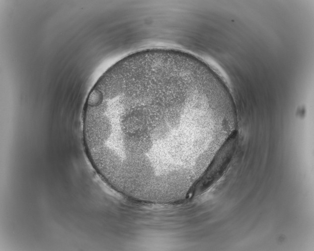 X0000089971287200707202003