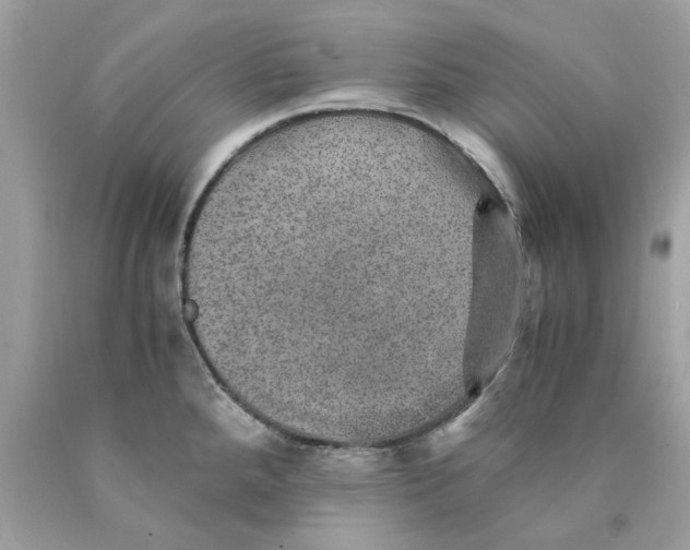 X0000089971288200707202002