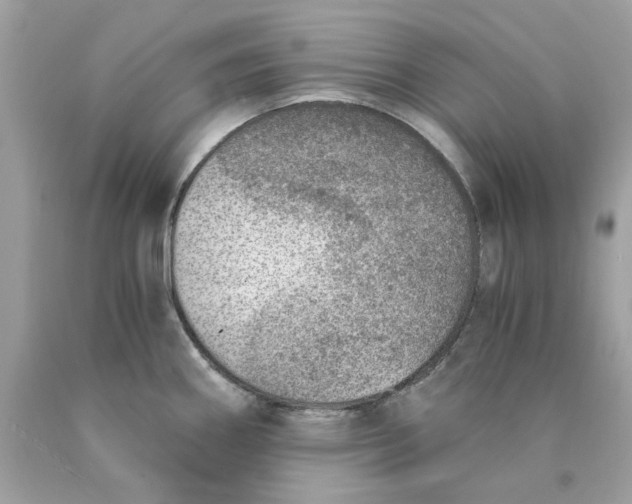 X0000089971290200707202002