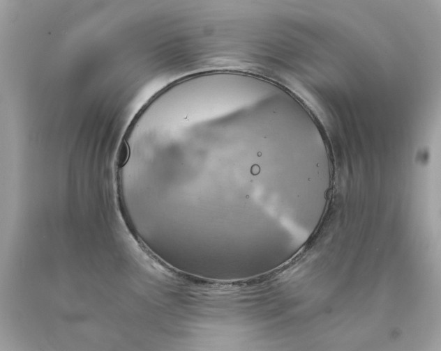 X0000089971291200707202002