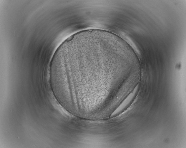 X0000089971292200707202002