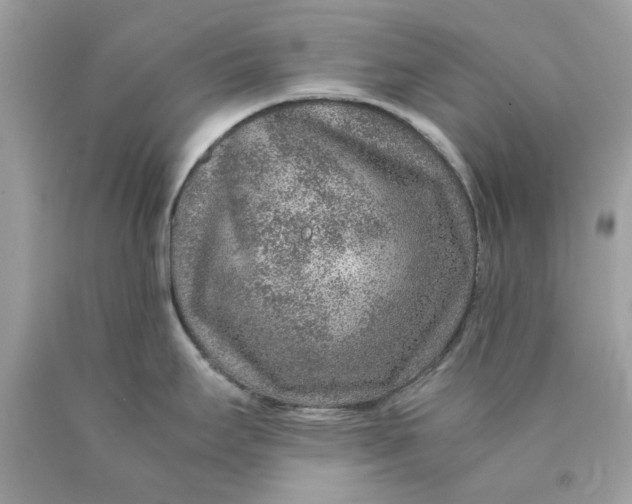 X0000089971295200707202002