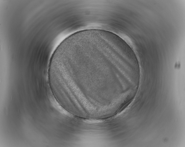 X0000089971296200707202002