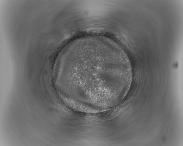 X0000089971297200707202002