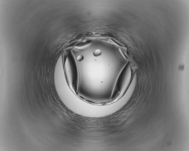 X0000089971298200707202002