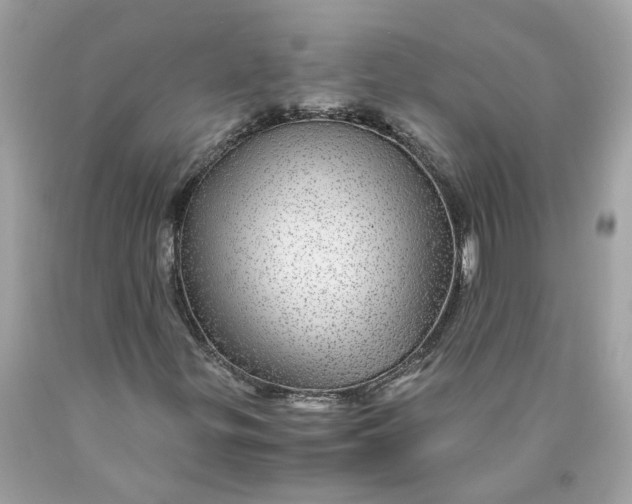 X0000089971299200707202002