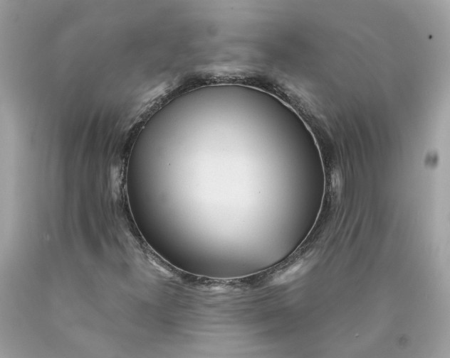 X0000089971300200707202002