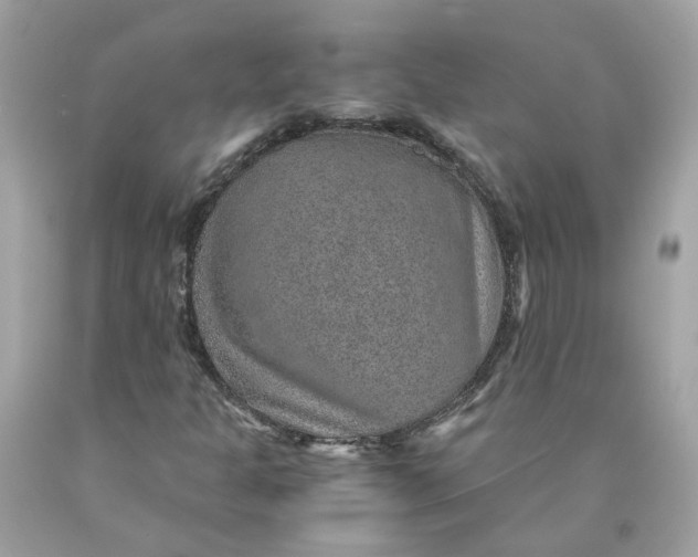 X0000089971301200707202002