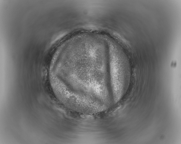 X0000089971302200707202002