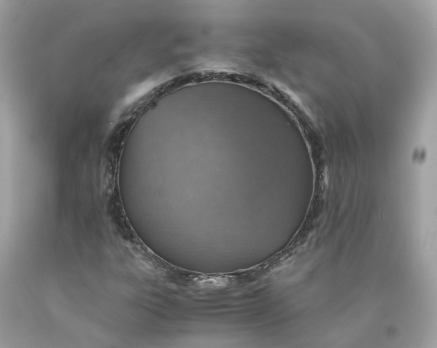 X0000089971303200707202002