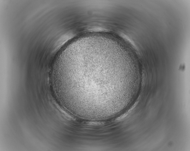 X0000089971305200707202002