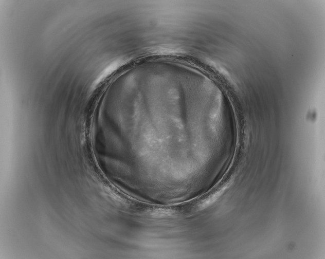 X0000089971306200707202002