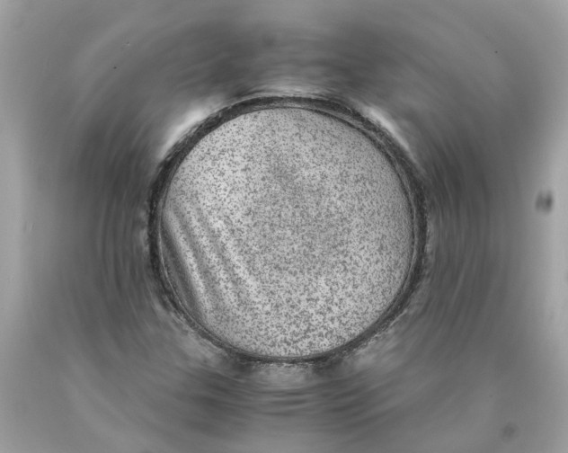 X0000089971307200707202002