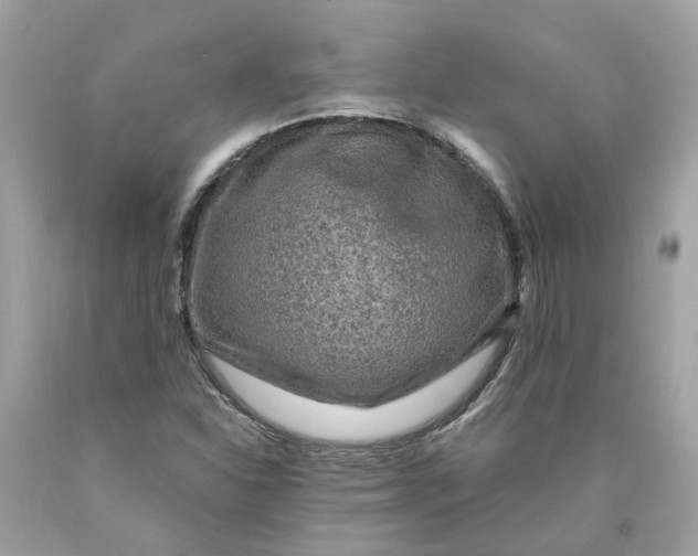 X0000089971310200707202002