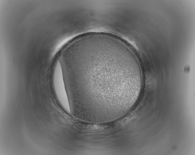 X0000089971311200707202002