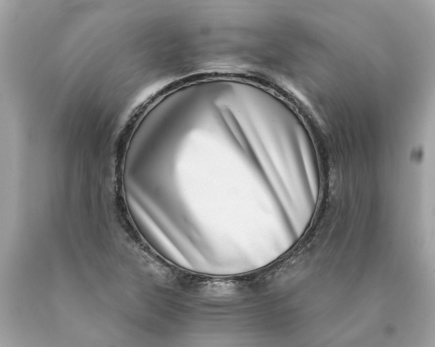 X0000089971315200707202002