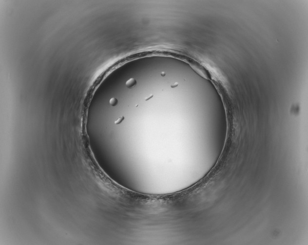 X0000089971316200707202002