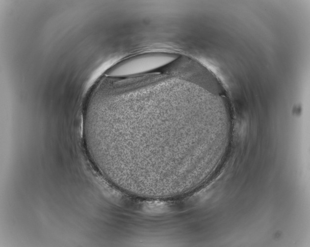 X0000089971317200707202002