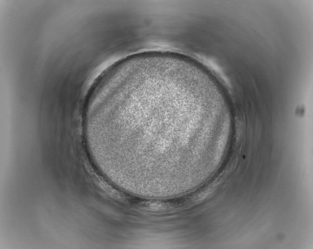 X0000089971318200707202002