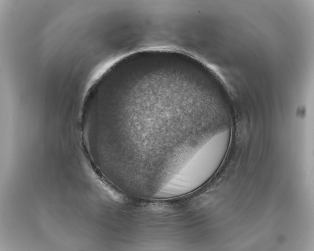 X0000089971319200707202002