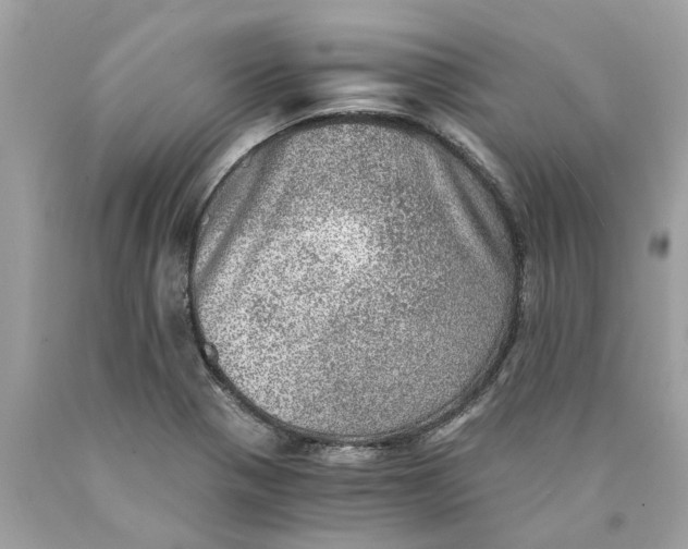 X0000089971321200707202002