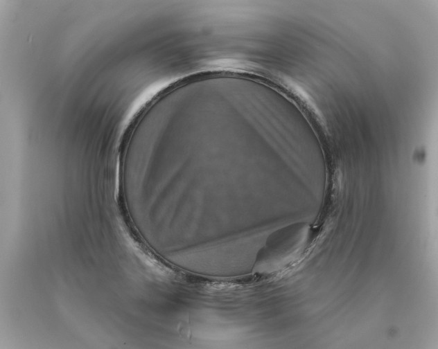 X0000089971323200707202002