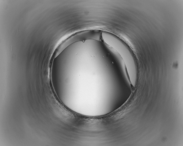 X0000089971324200707202002