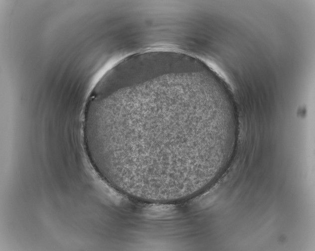 X0000089971325200707202002