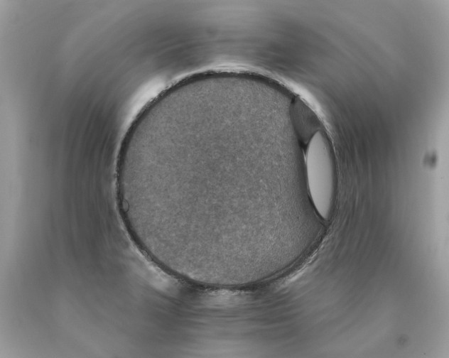 X0000089971327200707202002