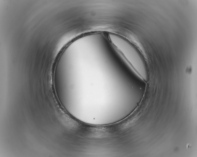 X0000089971328200707202002